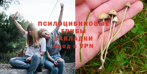 гашик Верхнеуральск