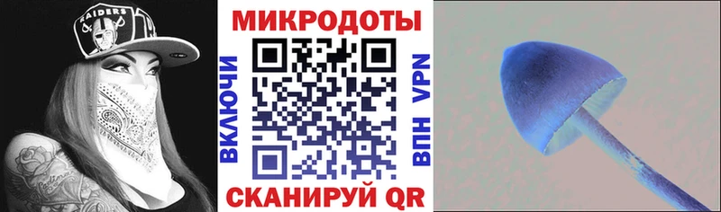 Псилоцибиновые грибы мухоморы  где продают   Владикавказ 