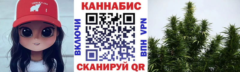 shop какой сайт  Владикавказ  Бошки марихуана конопля  купить наркотики сайты 